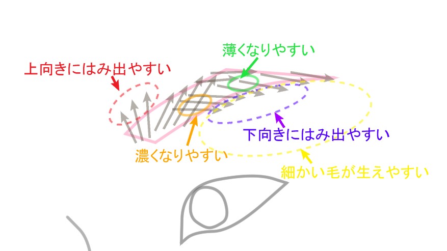 眉毛の基本的なお手入れの仕方 私 それを我慢することなかれ